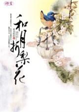 寂月皎皎-风月栖情:和月折梨花(出版)封面