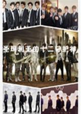 ʥ�����ǵ�ʮ���ػ������