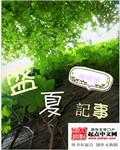 盛夏记事封面