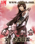 龙魂武士封面