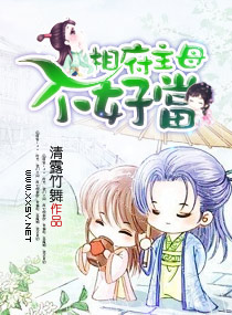 相府主母不好当封面