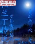 帕兰丁传说昏黄的黎明封面