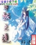 穿越之道封面