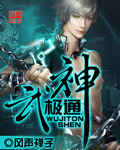 武极神通封面