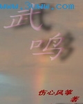 武鸣封面