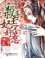 绣花王爷 杀手王妃不好惹封面