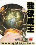 我欲成王封面