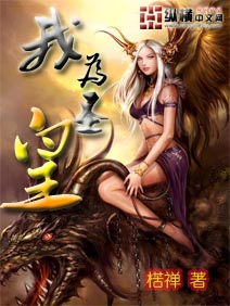 我为圣皇封面