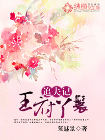 王府丫鬟追夫记封面