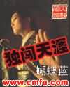 独闯天涯封面