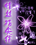 ָ����