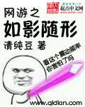 网游之如影随形封面