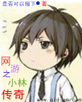 网游之小林传奇 网游之小林传奇