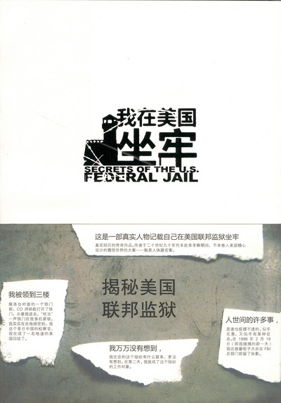 我在美国坐牢封面