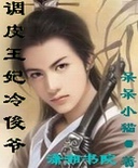 调皮王妃冷俊爷封面