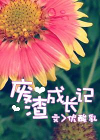兽人之废渣成长记封面