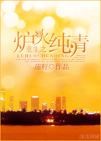 重生之炉火纯青封面