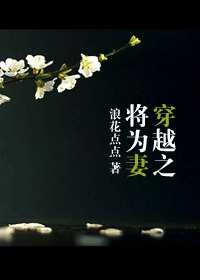 穿越之将为妻封面