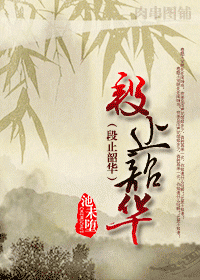 段止韶华封面