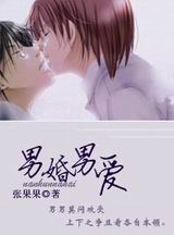 男婚男爱封面