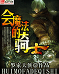 会魔法的骑士封面