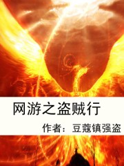 网游之盗贼行 网游之盗贼行