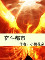 奋斗都市封面