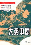 大势中原封面