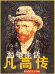 梵高传封面