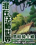 混在法师世界 混在法师世界
