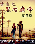 重生之黑暗巅峰封面