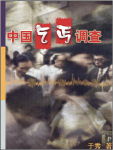 中国乞丐调查 中国乞丐调查