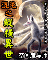 混沌之纵横异世 混沌之纵横异世