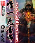 唯一元素师封面