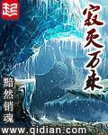 寂灭万乘封面
