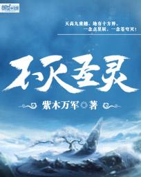 不灭圣灵封面