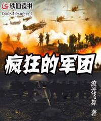 疯狂的军团封面