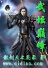 武坛巅峰封面