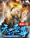 天罚至尊封面
