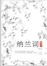 纳兰词典评封面
