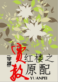 穿越红楼之贾赦原配 作者:梅雨季节情封面