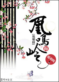 (琅琊榜同人)琅琊榜之凰鸣梅岭封面