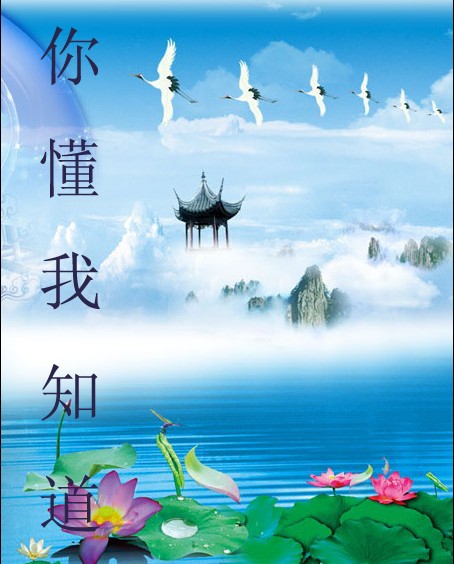 你懂我知道封面