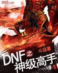 dnf之神级高手 dnf之神级高手