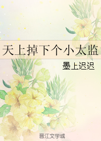 天上掉下个小太监封面