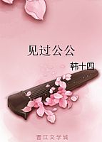 见过公公 作者:韩十四封面
