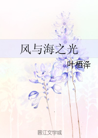 风与海之光封面