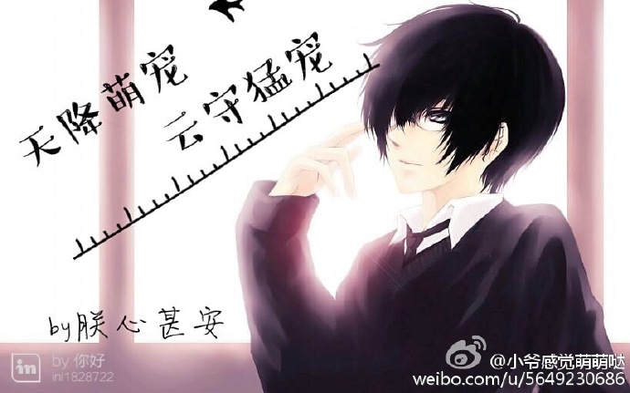 (家教同人)天降萌宠,云守猛宠封面