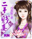 二手贱妾封面