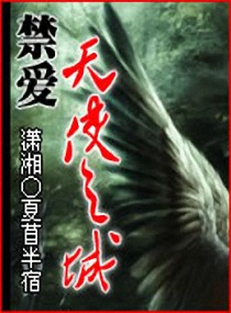 禁爱天使之城封面